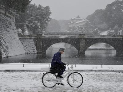 Solche Schneemassen haben die Menschen in Tokio und umliegenden Gebieten seit Jahrzehnten nicht mehr erlebt. Foto: Franck Robichon Königlicher Garten in Tokio