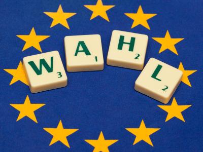 Gegen die Drei-Prozent-Hürde haben mehrere kleinere Parteien und mehr als 1000 Bürger geklagt. Foto: Patrick Pleul Europawahl