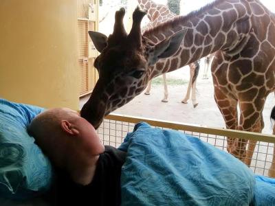 Eine Giraffe berührt im Zoo von Rotterdam das Gesicht des todkranken Tierpflegers Mario. Foto: Ambulance Wish Foundation Abschied