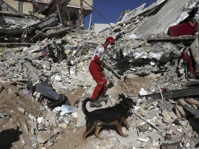 Eine Rettungskraft sucht mit einem Spürhund nach Überlebenden. Foto: Vahid Salemi Suche nach Überlebenden