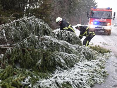 Feuerwehrmänner zersägen auf der B500 am Feldberg im Schwarzwald einen vom Sturm umgestürzten Baum. Foto: Patrick Seeger "Burglind" war da