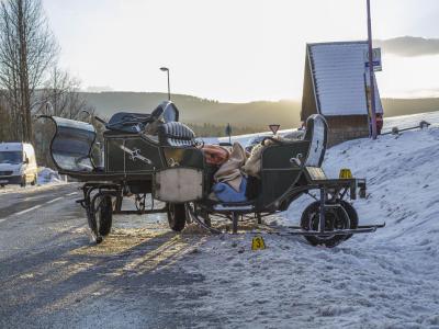 Die Kutsche nach dem Unfall. Eine Frau und ein Mann sind in Sehmatal bei dem Unglück ums Leben gekommen. Foto: Uhlig Jens Unfall mit Pferdeschlitten