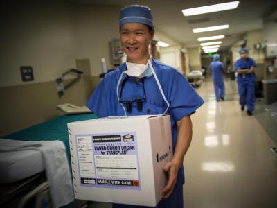 Ein Organ für eine Transplantation wird in einer Kiste getragen: Die Zahl der Drogentoten, die mindestens ein Organ spendeten, hat sich von 59 (2000) auf 1029 (2016) erhöht. Organspende in den USA