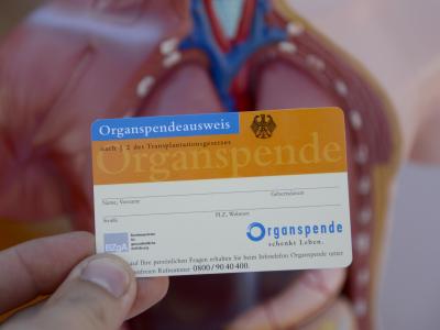 Ein Organspendeausweis. Organspende