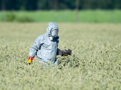 Die Suche nach Wrackteilen geht weiter. Suche nach Wrackteilen