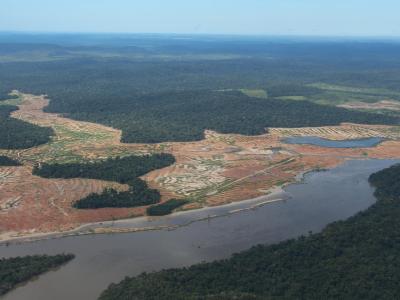 Der Amazonas-Regenwald ist vom Rückgang des Tierbestandes besonders betroffen. Amazonas