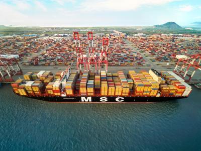 Die 400 Meter lange und 61,5 Meter breite «MSC Gülsün» kann 23.756 Standardcontainer (TEU) transportieren, darunter 2000 Kühlcontainer. «MSC Gülsün»
