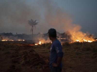 In Brasilien wüten derzeit die schwersten Waldbrände seit Jahren. Amazonas in Flammen