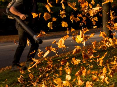 Ein Mann entfernt auf einem Hamburger Friedhof mit einem Laubbläser herbstlich verfärbte Blätter. Laubbläser