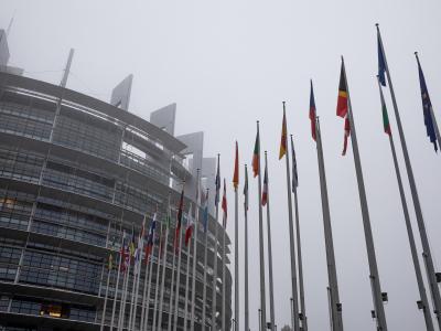 Die Flaggen der Mitgliedstaaten vor dem EU-Parlament in Straßburg. Europaparlament