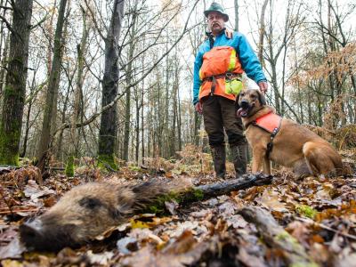 René Wiese und sein Hund Otto stehen neben einem Stück Wildschwein, das Otto beim Training im Wald gefunden hat. Otto ist ausgebildet, tote Wildschweine aufzuspüren, die auf das Virus 'Afrikanische Schweinepest' (ASP) untersucht werden sollen. Wildschweinkadaver-Suchhunde