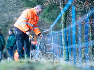Der Mitarbeiter eines sächsischen Veterinäramtes baut einen Elektro-Wildabwehrzaun auf. Elektrozaun