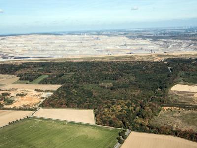 Der Tagebau Hambach schiebt sich Stück für Stück an den Hambacher Forst. Bedrohter Wald