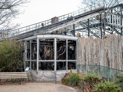 Das abgebrannte Affenhaus des Krefelder Zoos. Nach dem Brand im Krefelder Zoo