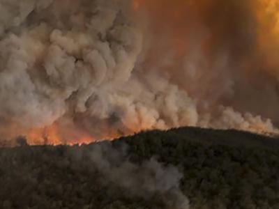 Dichte Rauchwolken steigen über einem Wald auf in Bairnsdale auf. Buschbrände in Australien