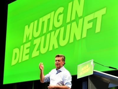 Grünen-Chef Werner Kogler spricht beim Bundeskongress der Partei in Salzburg. Werner Kogler