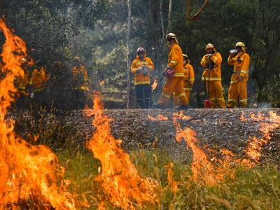 Die Buschfeuer in Australien haben nach Behördenangaben bereits mehrere Millionen Hektar Land verbrannt. Buschbrände in Australien