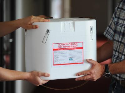 In solchen Organtransportboxen werden Organe zu Empfängern geliefert. Leichter Rückgang bei Organspenden