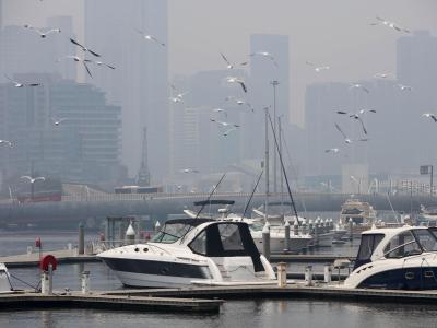 In Melbourne an der Südostküste Australiens ist die Luftqualität rekordverdächtig schlecht. Smog durch Buschbrände