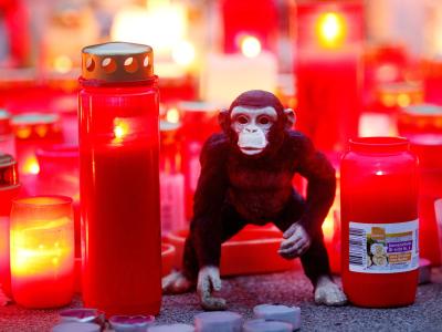 Nach dem Brand im Affenhaus des Krefelder Zoos steht ein Stofftieräffchen neben Trauerkerzen. Nach dem Brand im Krefelder Zoo