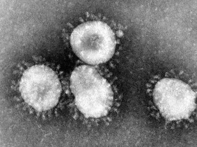 Ein Coronavirus unter dem Mikroskop. Coronavirus