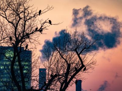 Milde Luft in Deutschland: Die Temperaturen klettern am Freitag mancherorts auf bis zu neun oder zehn Grad. Kein Winterwetter