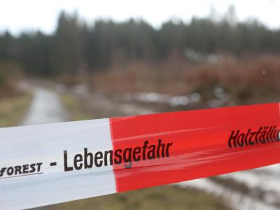 Das Symbolbild zeigt Flatterband vor einem Holzlager. Nach Sturmtief «Sabine»