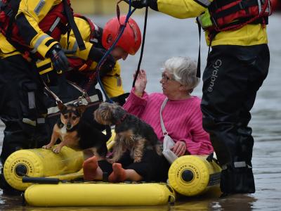 Rettungskräfte bringen eine Frau und ihre Hunde mit einem Schlauchboot in Sicherheit. Ins Trockene