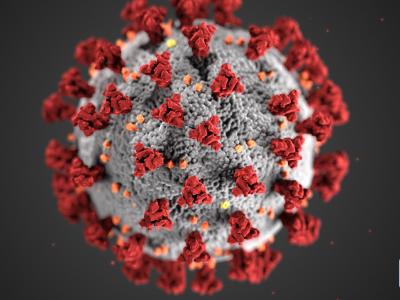 Weltweit haben die Menschen mit der Ausbreitung des Coronavirus zu kämpfen. Coronavirus