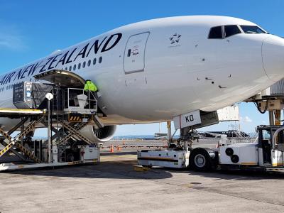 Ein Flugzeug der Air New Zealand vor dem Abflug nach Frankfurt am Main am Flughafen von Auckland. Coronavirus - Neuseeland