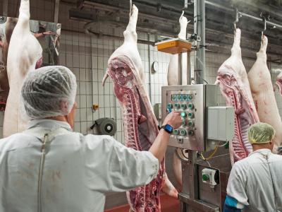 Das Bundeskabinett berät über den Arbeitsschutz in Schlachthöfen. Arbeit im Schlachthof