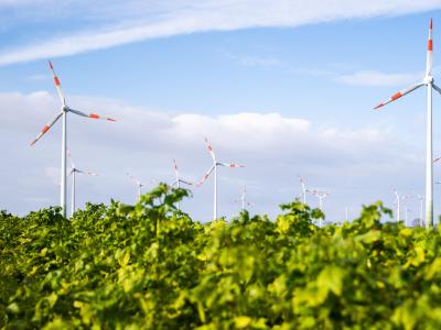 Viel Wind und Sonnenschein haben den Ökostrom auf ein Rekordhoch getrieben. Rekord beim Ökostrom