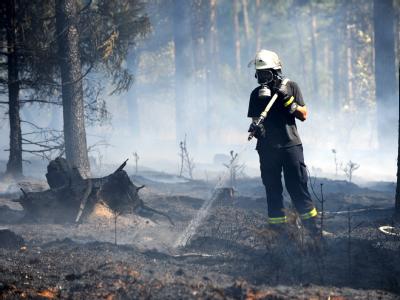 Feuerwehrleute löschen den Waldbrand. Es brannte auf mehr als 95 000 Quadratmetern Fläche, etwa 170 Feuerwehrleute waren im Einsatz. Waldbrand
