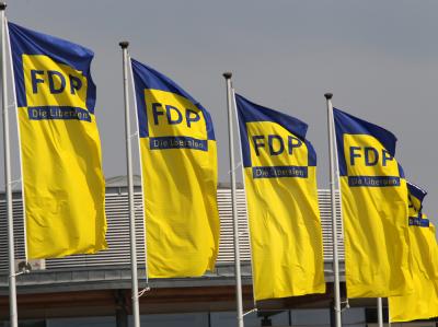 Eine Gruppe um den euroskeptischen FDP-Bundestagsabgeordneten Frank Schäffler strebt einen Mitgliederentscheid zu weiteren Rettungsmaßnahmen für überschuldete Euro-Staaten an. FDP-Flaggen