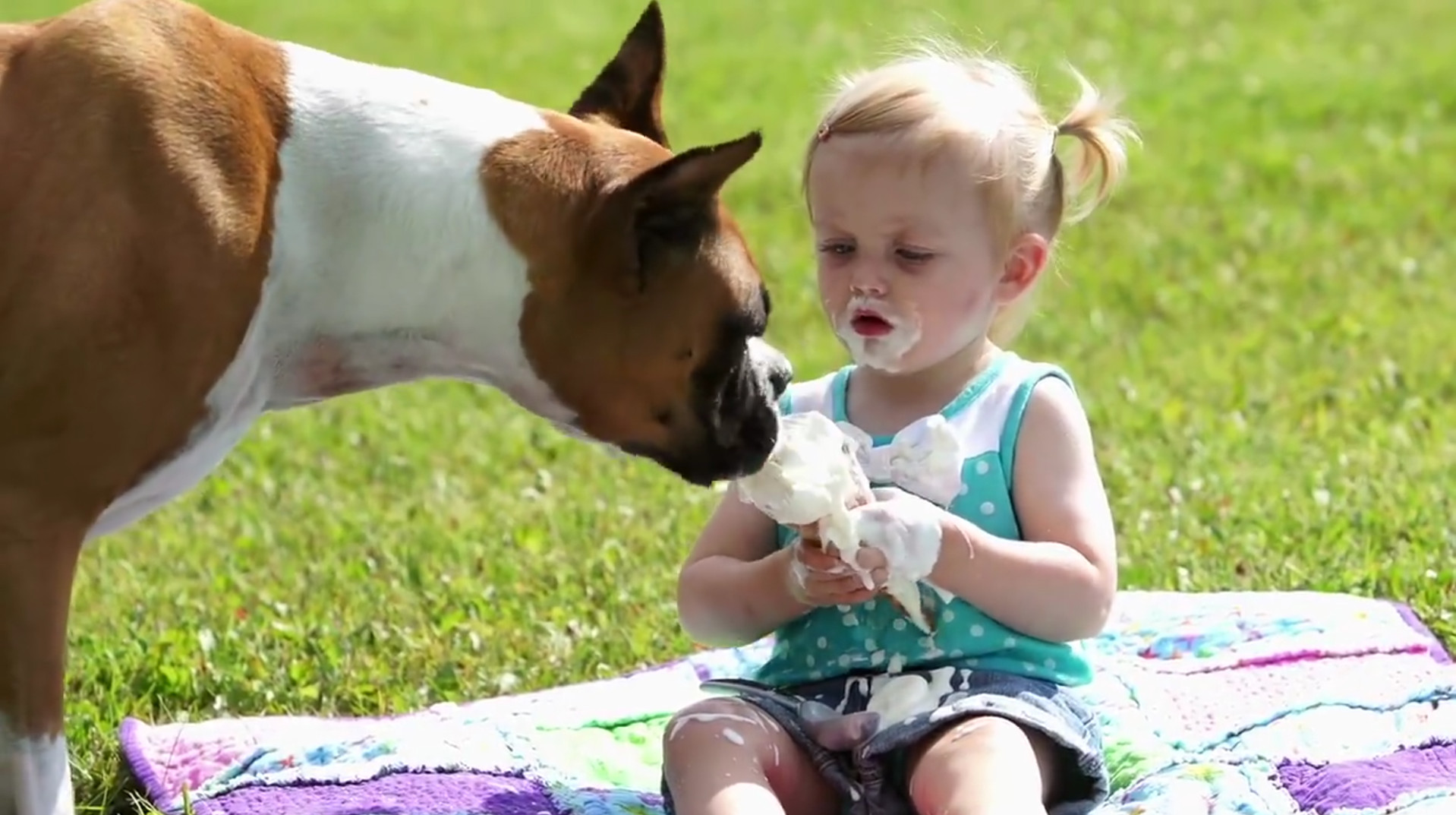 „Hund isst Eis von diesem Kind und wird über 792.000 Mal gesehen“