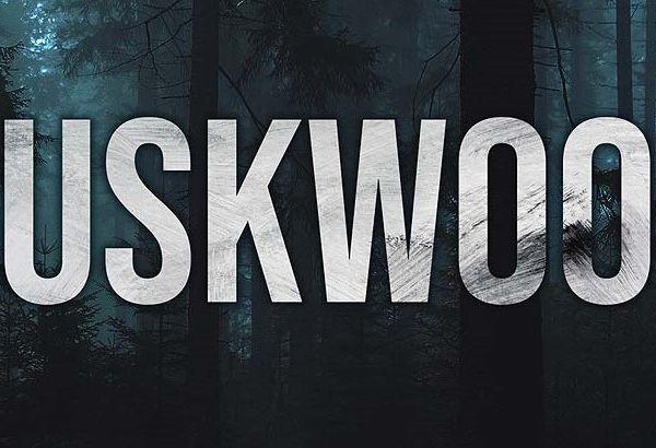 Читы для duskwood